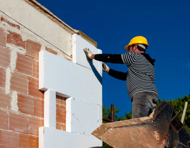 Best Eco-Friendly Insulation in Port St John, FL