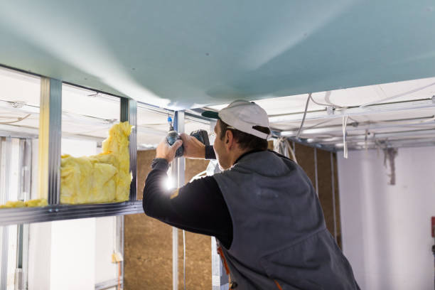 Best Energy Efficiency Insulation in Port St John, FL