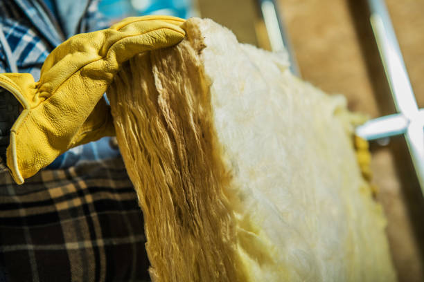 Best Geographic-Specific Insulation Services in Port St John, FL