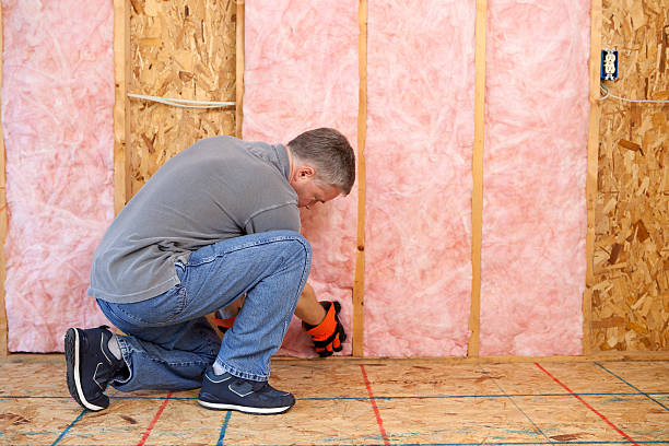 Best Insulation Maintenance and Repair in Port St John, FL